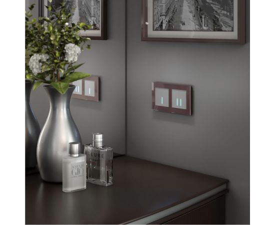 Рамка на 2 поста WERKEL W0021118 мокко стекло a051098 – изображение 4