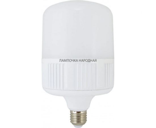 Светодиодная лампа TDM T-30 Вт-230 В-6500 К–E27 99x168 мм НАРОДНАЯ SQ0340-1643 