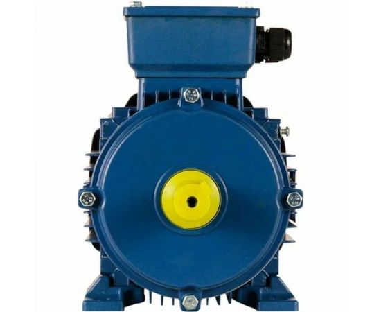 Электродвигатель 5АИ 80 В4 1.5/1500 IM 1081 01.01.213547 – изображение 2