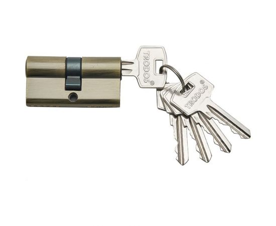 Цилиндр Trodos ЦАМ ЦМ 60-5K AB бронза 208083 