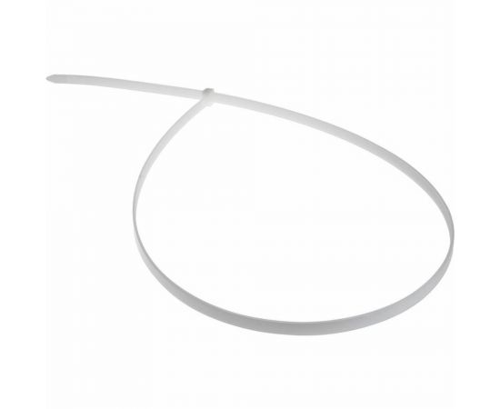 Хомут REXANT nylon 700x9 мм 100 шт белый 07-0700-9 