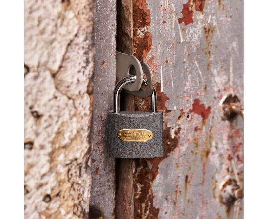 Навесной замок ЧЕТЫРЕ СЕЗОНА Чугун 60 мм 79-0006 – изображение 2