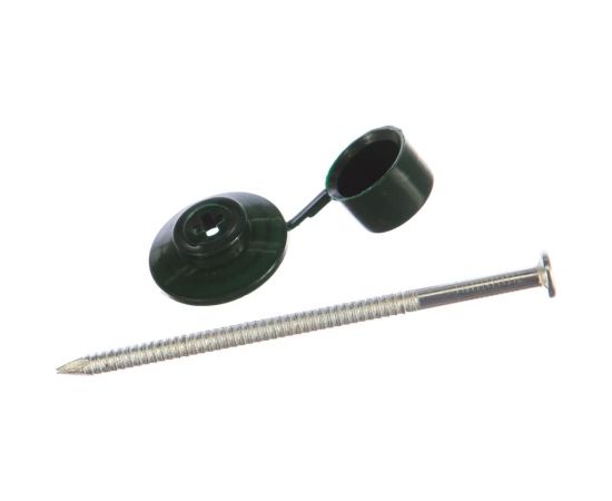 Гвозди для ондулина Стройбат оц.80 мм с пл.шляпкой, зеленый 100 шт 252570 