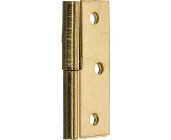 Стальная петля Amig покрытие латунь IZ-Правая 540-50 (IZ) – изображение 2