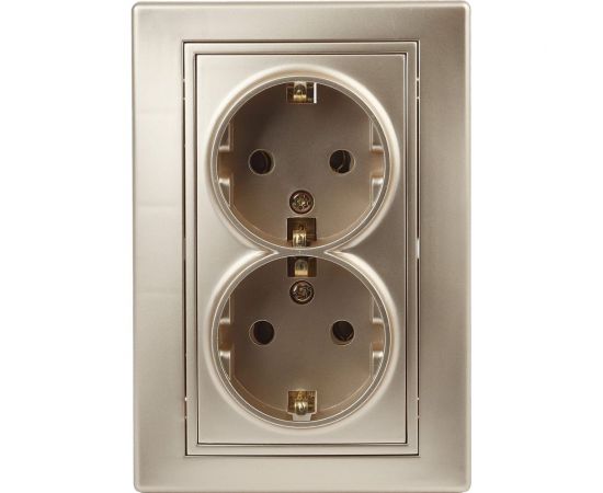 Розетка Intro 2х2P+E Schuko,16А, 250В, IP20, СУ, Plano, шампань Б0030071 