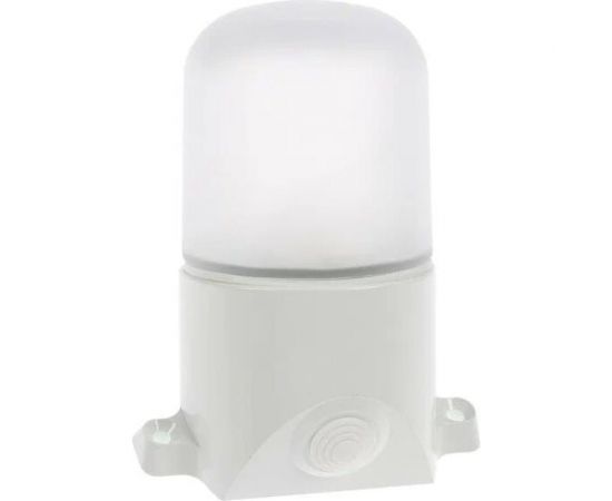 Светильник TDM НПБ400-1П настенный, наклонный белый, IP54, 60 Вт, поликарбонат, SQ0303-1502 – изображение 2