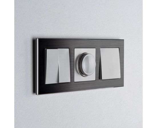 Диммер WERKEL серебряный W1142006 a051518 – изображение 2