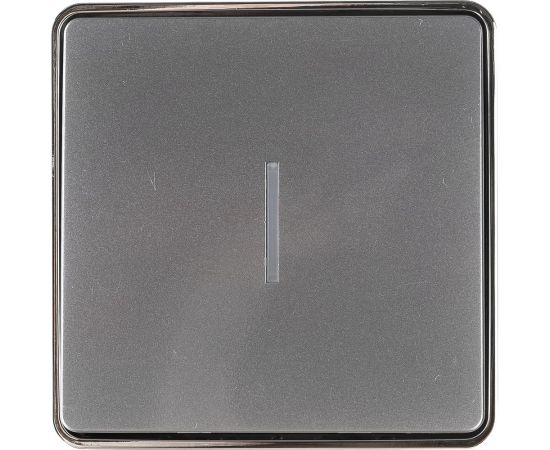 Одноклавишный выключатель WERKEL W5010106 с подсветкой a052766 