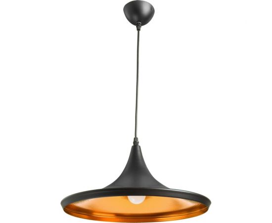 Подвесной светильник Arte Lamp CAPPELLO A3406SP-1BK 