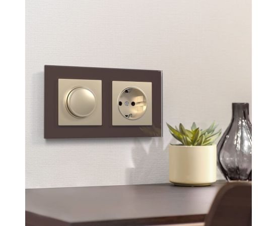 Розетка WERKEL W1171011 с заземлением шампань a050867 – изображение 3