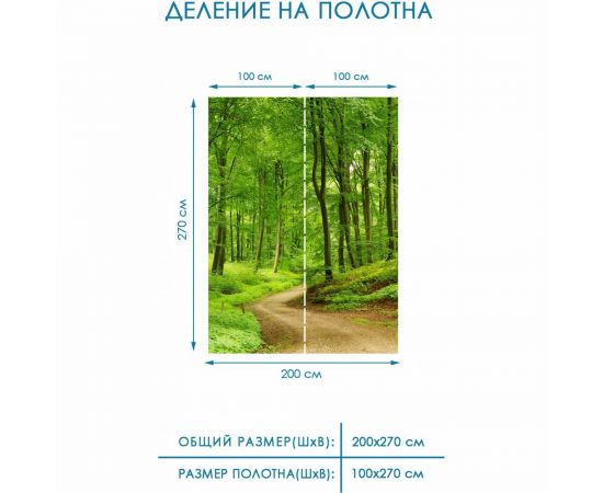 Фотообои флизелиновые Fotooboikin " Лес" 200x270 см fot-07 – изображение 3