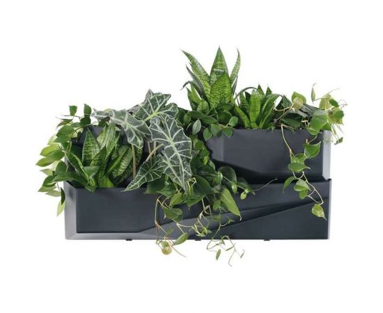 Вертикальный сад Prosperplast IO3W800 S433 CASCADE GARDEN 2 ячейки, 19 см, 78 см, антрацит 067052 – изображение 3