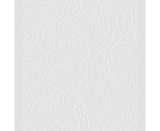 Декоративная штукатурка Paritet Базовое покрытие №1 (гладкое; 1 кг) PDLW-B39 – изображение 3