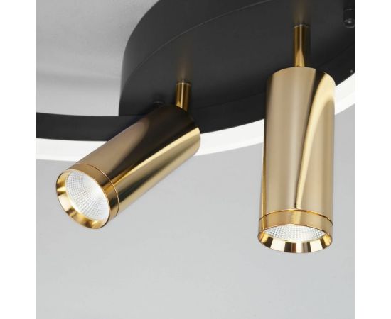 Eurosvet 90247 3 потолочный светильник черный золото a055664 – изображение 4