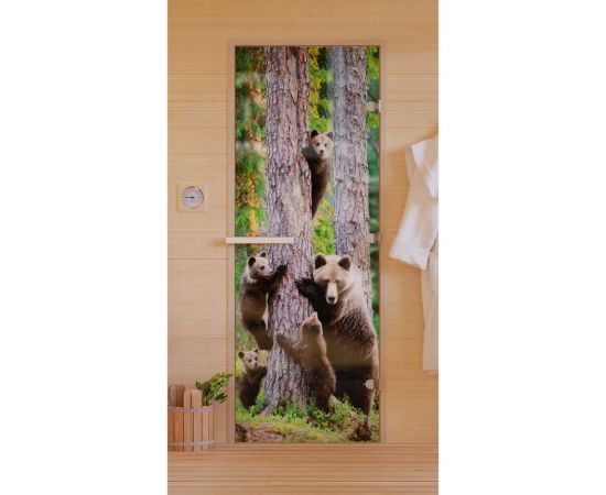 DoorWood Дверь для бани "Фотопечать рисунок А064". 1900х700 мм УТ-00011465 