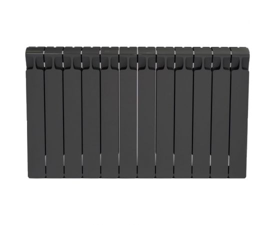 RIFAR 09 Радиатор биметаллический Monolit 500-12 Титан RM500123/47012 – изображение 2