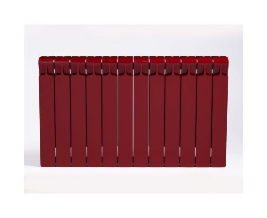 RIFAR 39 Радиатор биметаллический Monolit 500-12 Ду 3/4 RAL 3011 БОРДО RM500123/43011 – изображение 2