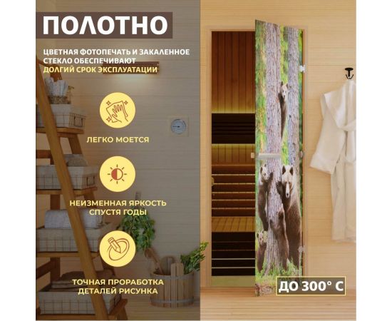 DoorWood Дверь для бани "Фотопечать рисунок А064". 1900х700 мм УТ-00011465 – изображение 5