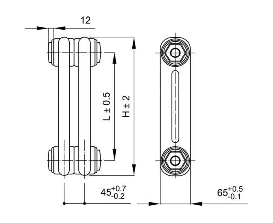 IRSAP Стальной трубчатый радиатор TESI/2 565 EL26 CL.01 T25 / RR205652601A425N01 – изображение 2