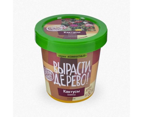 Набор для выращивания растений Вырасти,Дерево! Кактусы zk-045 