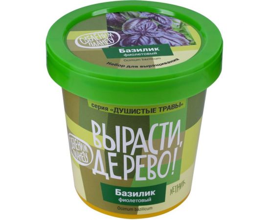 Набор для выращивания растений Вырасти,Дерево! Базилик фиолетовый zk-123 