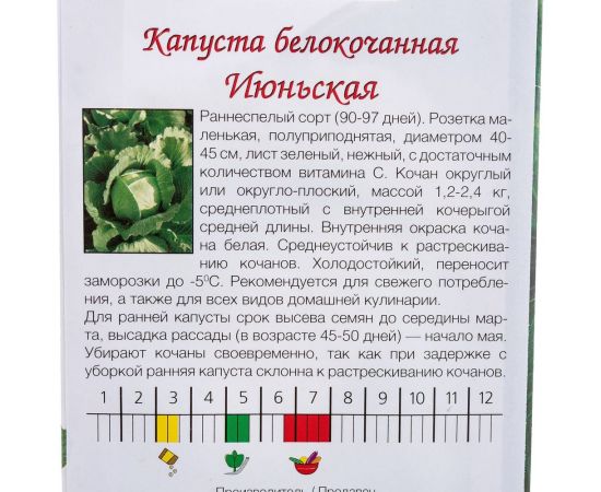 Семена Агрони Капуста белокочанная ИЮНЬСКАЯ 5961 – изображение 2