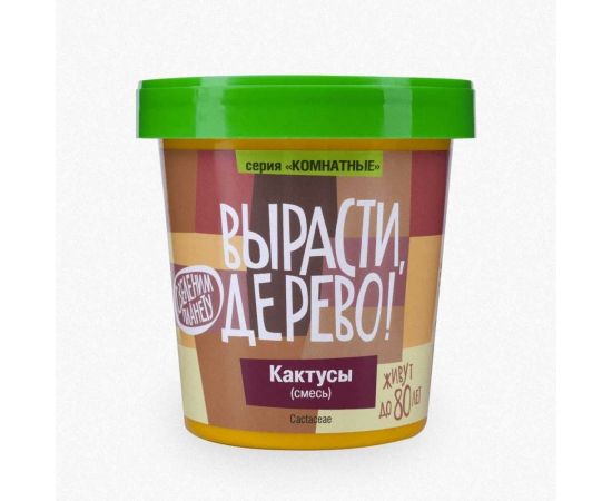 Набор для выращивания растений Вырасти,Дерево! Кактусы zk-045 – изображение 2