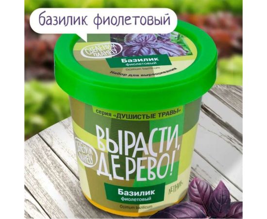 Набор для выращивания растений Вырасти,Дерево! Базилик фиолетовый zk-123 – изображение 2