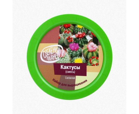 Набор для выращивания растений Вырасти,Дерево! Кактусы zk-045 – изображение 3