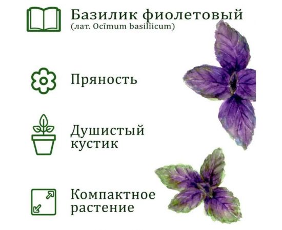 Набор для выращивания растений Вырасти,Дерево! Базилик фиолетовый zk-123 – изображение 3