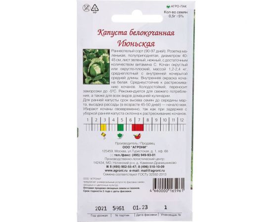 Семена Агрони Капуста белокочанная ИЮНЬСКАЯ 5961 – изображение 3