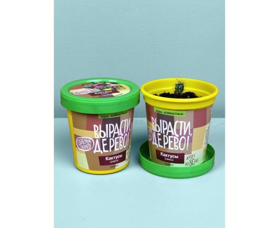 Набор для выращивания растений Вырасти,Дерево! Кактусы zk-045 – изображение 4