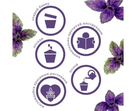 Набор для выращивания растений Вырасти,Дерево! Базилик фиолетовый zk-123 – изображение 5