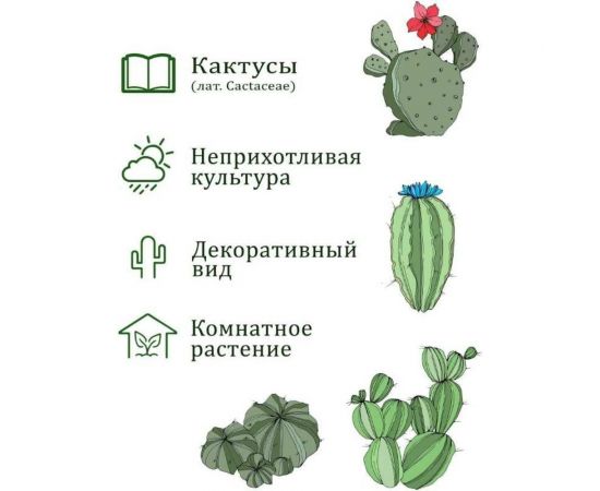 Набор для выращивания растений Вырасти,Дерево! Кактусы zk-045 – изображение 5