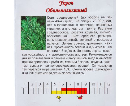 Семена Агрони Укроп ОБИЛЬНОЛИСТНЫЙ 7088 – изображение 5