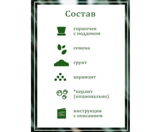 Набор для выращивания растений Вырасти,Дерево! Кактусы zk-045 – изображение 6