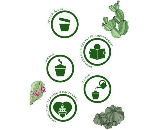 Набор для выращивания растений Вырасти,Дерево! Кактусы zk-045 – изображение 7