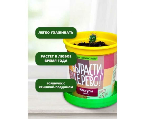 Набор для выращивания растений Вырасти,Дерево! Кактусы zk-045 – изображение 8