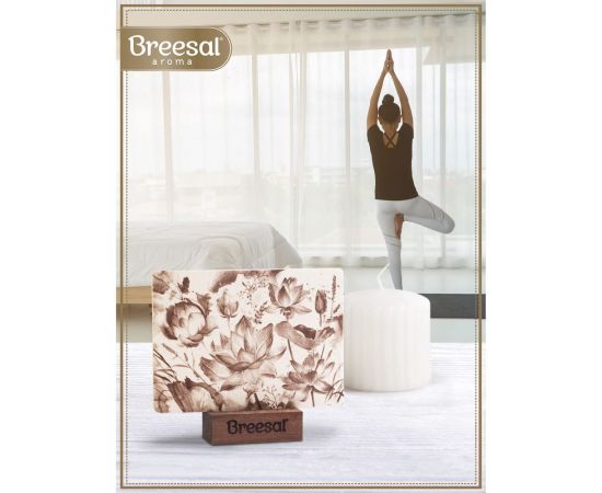 Освежитель воздуха Breesal Арома Арт Наслаждение 12 B/25006 – изображение 8