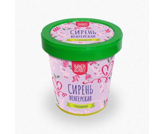 Подарочный набор для выращивания растений Вырасти,Дерево! Сирень венгерская zk-118 