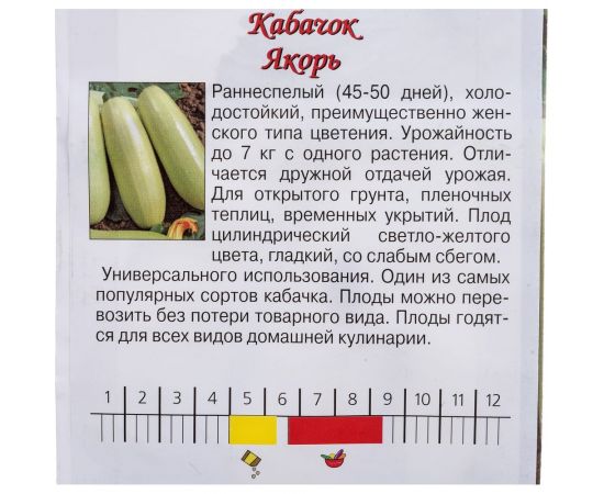 Семена Агрони Кабачок ЯКОРЬ 4308 – изображение 2