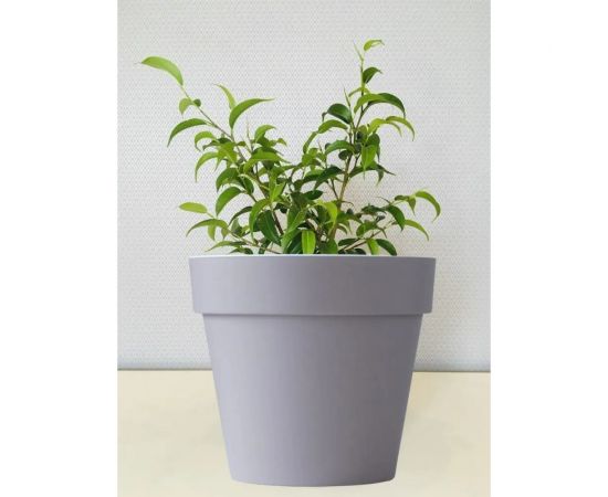 Пластиковый горшок с вкладкой liveingreen Протея 6 л, фраппе диаметр 23.5 см, высота 22.5 см ПР25-90 – изображение 2