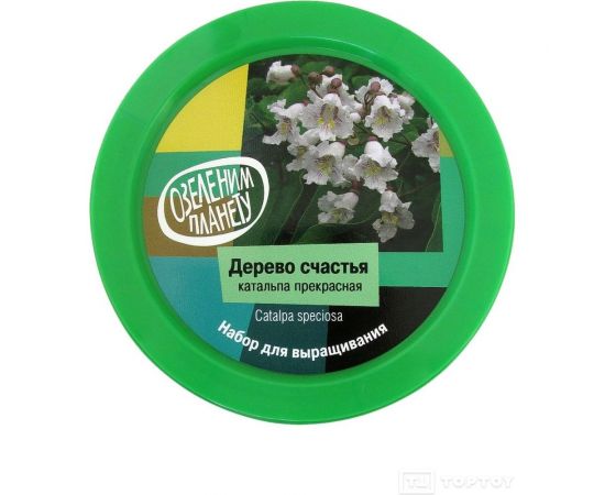 Набор для выращивания растений Вырасти,Дерево! Дерево счастья катальпа zk-068 – изображение 2