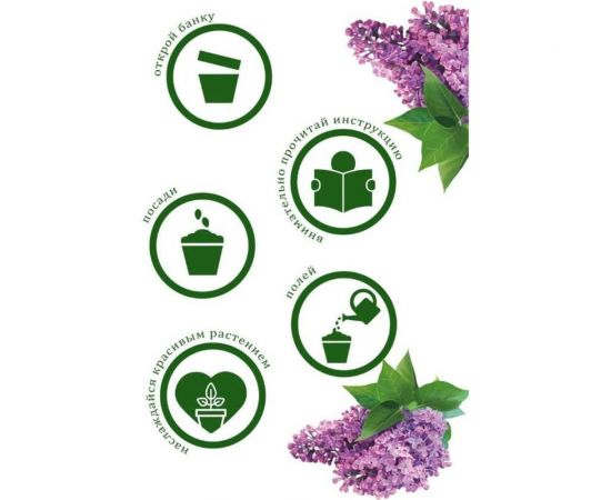 Подарочный набор для выращивания растений Вырасти,Дерево! Сирень венгерская zk-118 – изображение 4