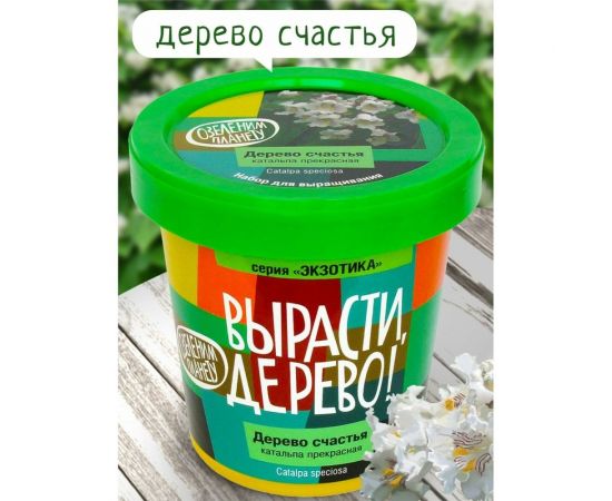Набор для выращивания растений Вырасти,Дерево! Дерево счастья катальпа zk-068 – изображение 4