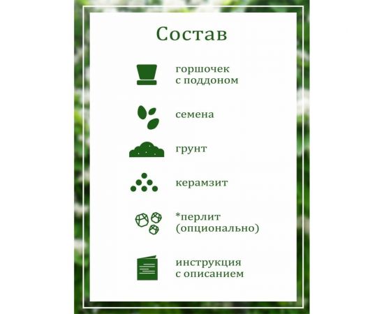 Набор для выращивания растений Вырасти,Дерево! Дерево счастья катальпа zk-068 – изображение 5