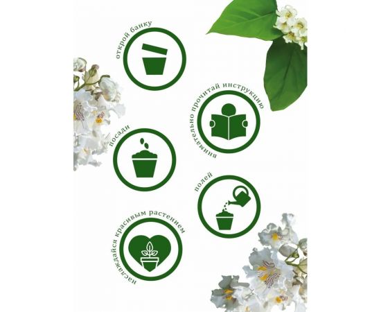 Набор для выращивания растений Вырасти,Дерево! Дерево счастья катальпа zk-068 – изображение 6