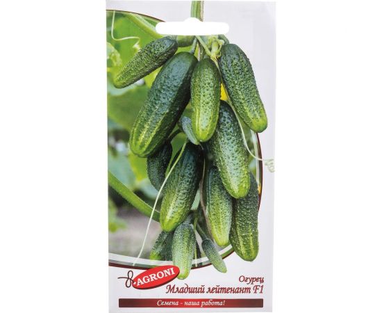 Семена Агрони Огурец МЛАДШИЙ ЛЕЙТЕНАНТ F1 4735 
