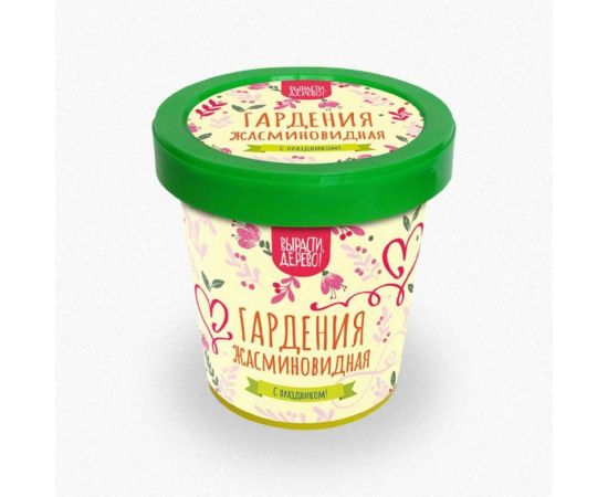 Подарочный набор для выращивания растений Вырасти,Дерево! Гардения жасминовидная zk-111 