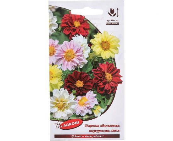 Семена Агрони Георгина низкорослая СМЕСЬ 7897 